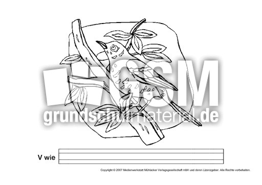V-wie-Vogel.pdf
